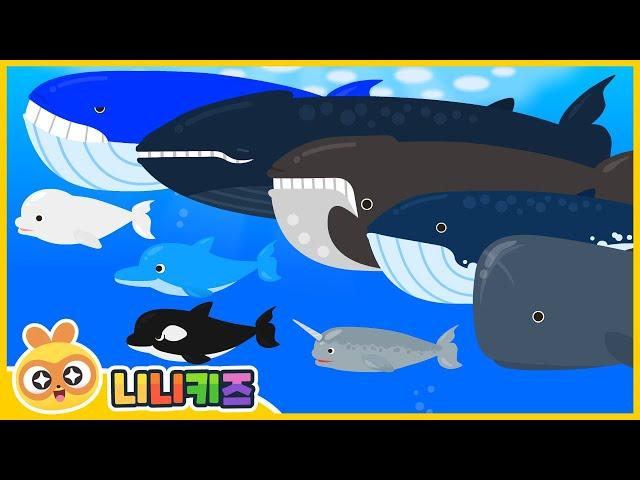 What kind of animal am I? | Sea Animal Fishing Game | Shark? Whale? | Stories for Kids | NINIkids