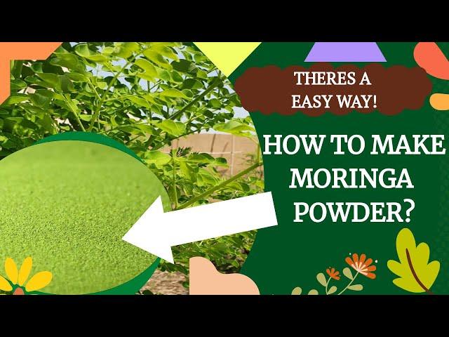 The Easy Way to Make Moringa Powder with NutriBullet ~Bee13Bux