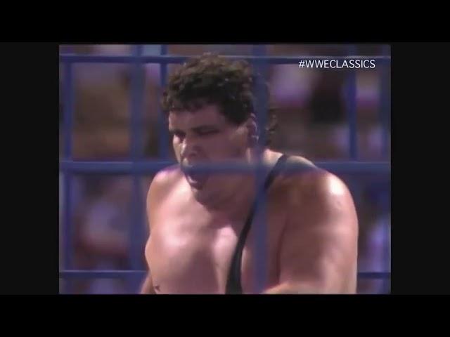 Wrestlemania III Rematch - Hulk Hogan vs Andre the Giant - Cage Match - Wrestlefest 1988