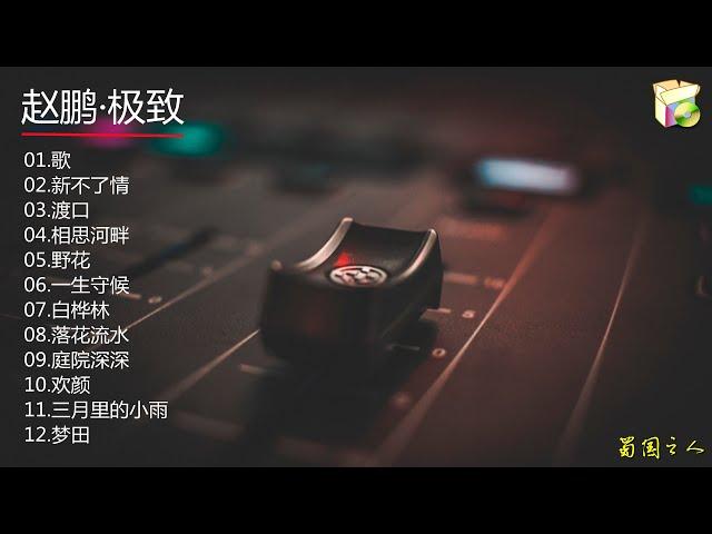 【赵鹏·极致】24K纯金CD‖他的声音具有明显的辨识度，源于天籁，而发自肺腑