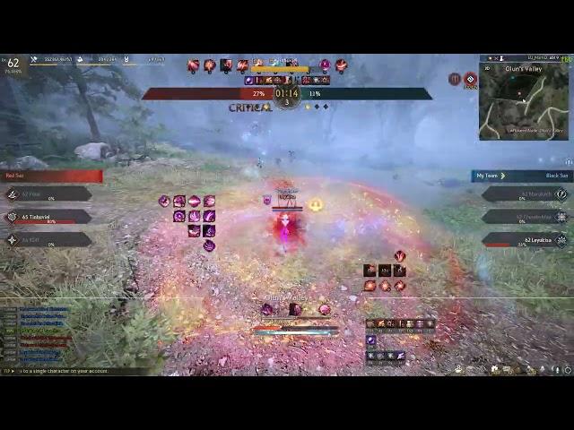 BDO - Awakening Maegu AoS 1v3