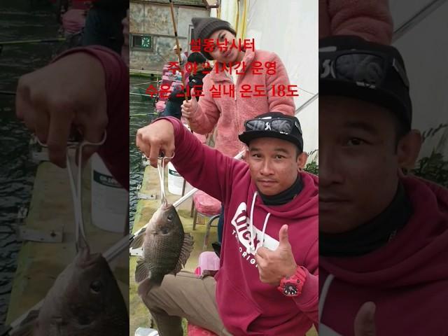 미안해 할 것 없어 이가없으면 잇몸으로잇몸이 없으면 입술로 물어뜯으면 되는 거야 이렇게 말이야? 천만에 난 너하고 달라. #설동낚시터 #틸라피아 #역돔 #하우스역돔낚시터