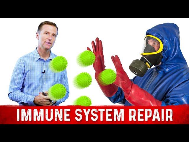 How to Repair Your Immune System if it is Old and Damaged