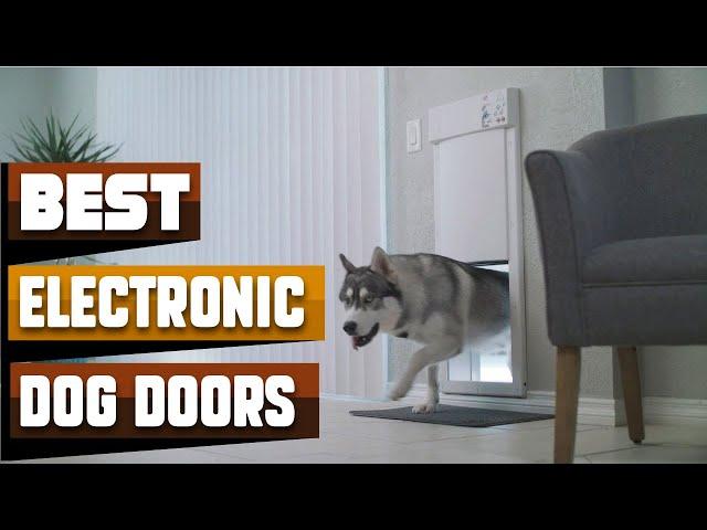 Most Amazing  Electronic Dog Doors in 2024