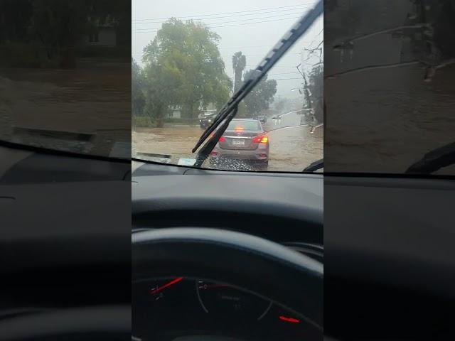 Flooding 1/22/24 on Tyler St. near Bancroft Elementary