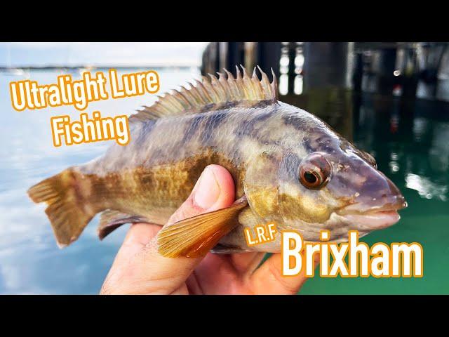 Ultra Light LRF Lure Fishing, Brixham, Devon.