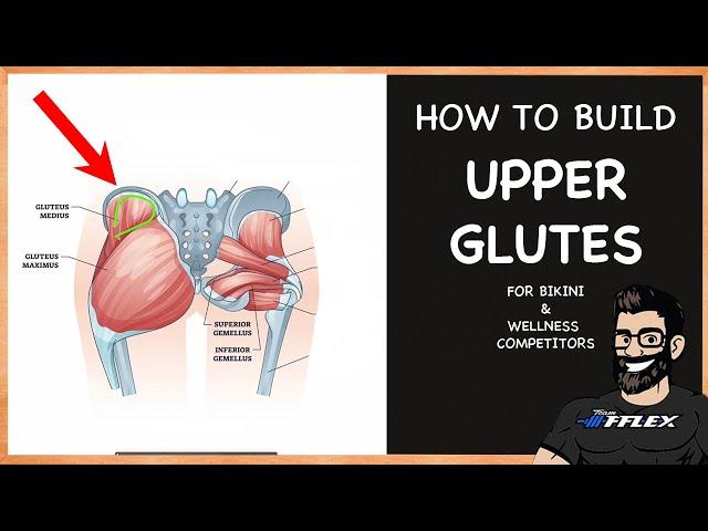 How to Build UPPER GLUTES for Bikini & Wellness | FREE Mini Course for Beginners |