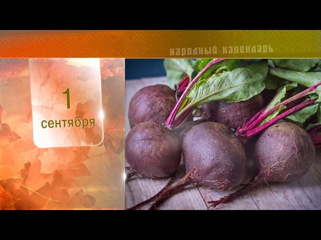 1 Сентября - Ежедневный Народный Календарь