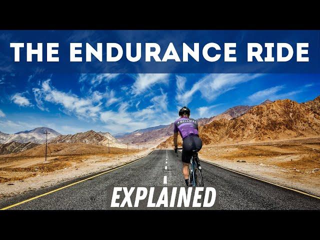 Base Miles: The Science Behind the Endurance Ride