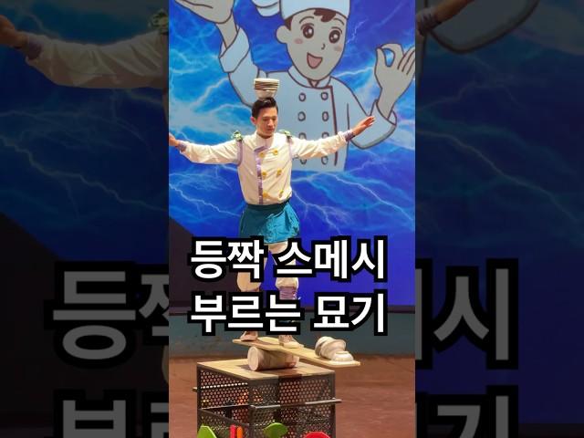 따라하다 진짜 혼날 묘기 2탄 ,shanghai maxicheng circus