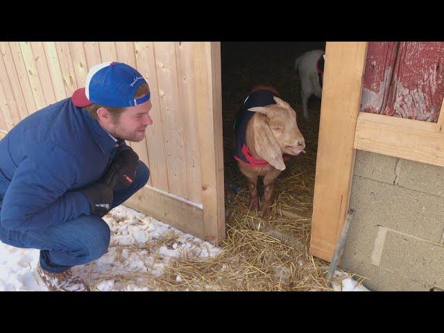 This Man Quit His Tech Job to Start an Animal Sanctuary and Has Rescued 100+ Animals From Maltrea…