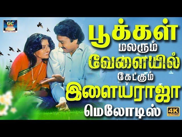 பூக்கள் மலரும் வேளையில் கேட்கும் இளையராஜா மெலோடிஸ் | 80s Ilayaraja Melodies | Ilayaraja Hits