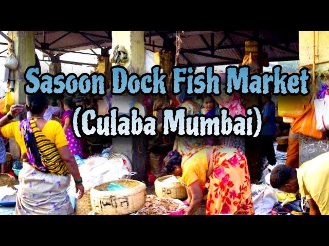 sassoon dock fish market | sassoon dock fish market latest video