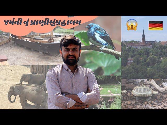  અમે બધા પ્રાણીસંગરાલય જોવા ગયા ! એ પણ જર્મની નું ️|| બોવજ મજા આવી || #rutvikahir #germany