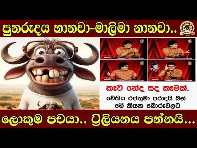 පුනරුදය හානවා-මාලිමා නානවා.. | ලොකුම පචයා.. ට්‍රිලියනය පන්නයි...