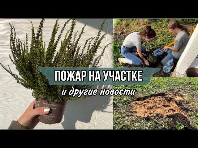 Возгорание торфа на участке. Работа на земле. Посадка вереска. Дом из бытовки. Дачный дом