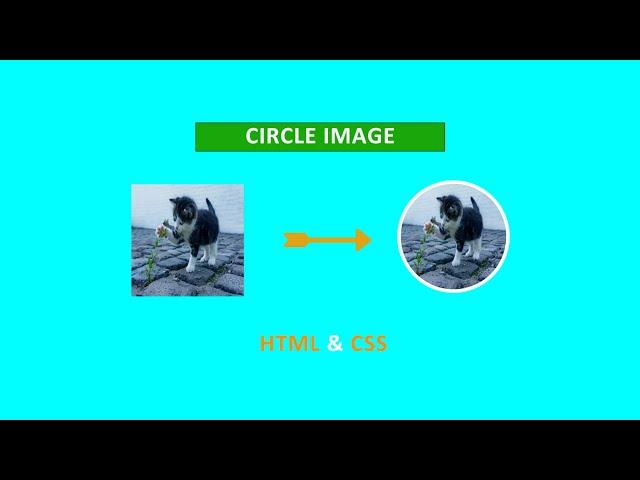 Rounded And Circular Image With HTML And CSS. | Amin Coding