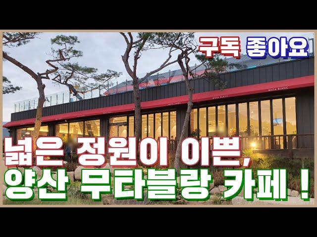 디저트 천국 양산 카페 추천 | 양산여행, 양산가볼만한곳, 양산카페...|브이로그