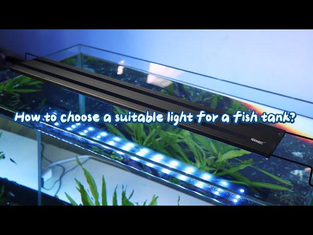 How to choose a suitable light for a deep fish tank?