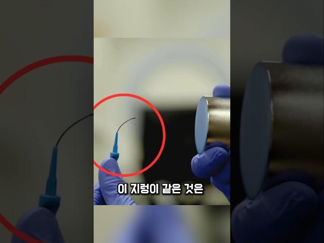 5초마다 생명을 위협하는 뇌질환, 실처럼 움직이는 로봇이 해결할 수 있을까?