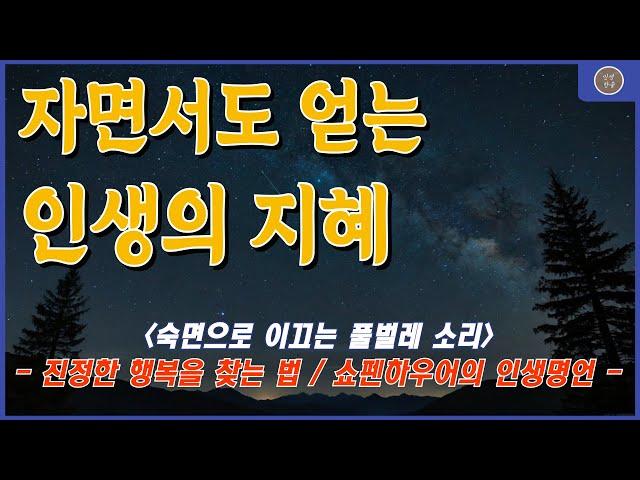 🫵 절대 행복을 쫓지 마라 | 노후에 후회하지 않는 삶의 비밀 | 쇼펜하우어의 가르침 | 인생 철학 #인생명언 #지혜 #좋은글 #인생한줄