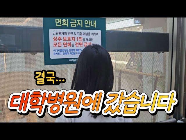 결국 수술하게 됐어요 | 차 고장으로 역대급 지출 | 아무것도 모르고 신났던 유니클로 여름 감사제 | 전업주부 브이로그