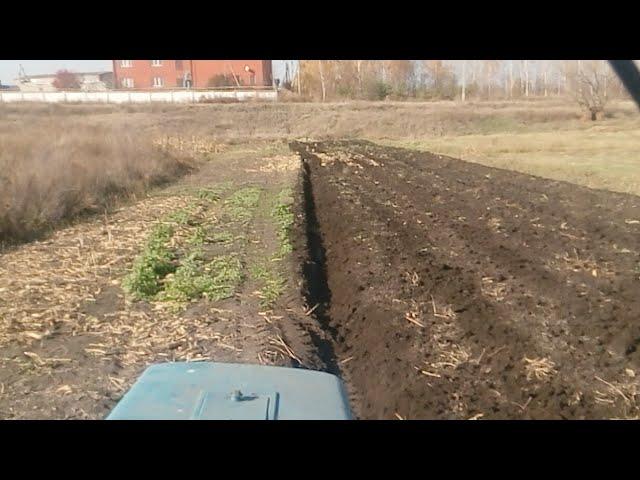 Очередной День Пахоты