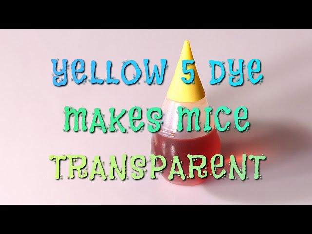 YELLOW 5 DYE MAKES MICE TRANSPARENT...