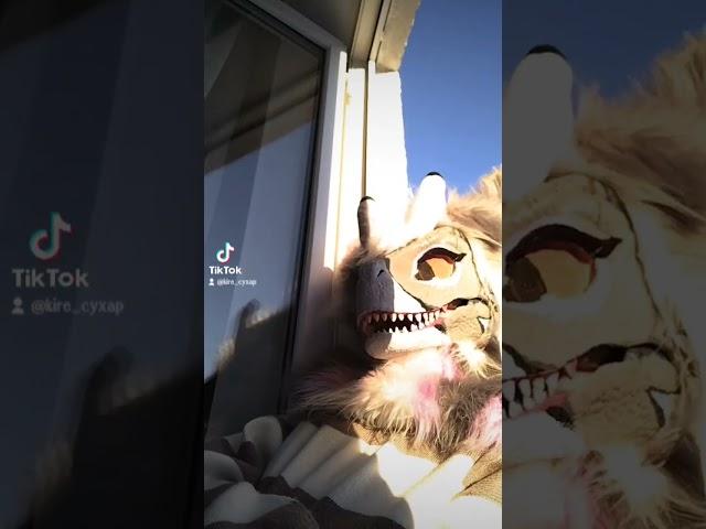 #mask#рек#furries #маска#fypシ#tiktok#раптор#фурсьютер#рекиии