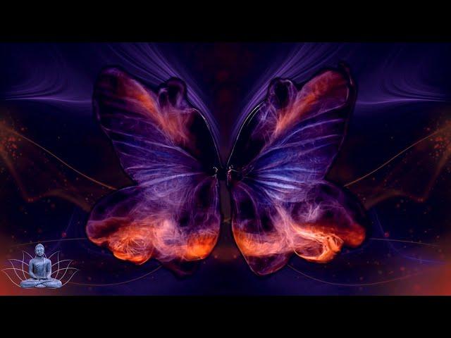 528 Hz Positive Transformation | Emotional & Physical Healing | Deep Regeneration Frequency Music