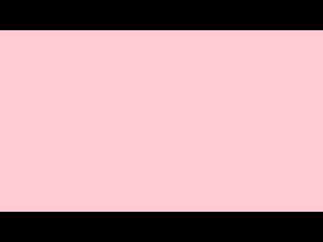 Vlog 65
