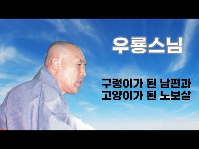 우룡스님 법문 - 구렁이가 된 남편과 고양이가 된 노보살