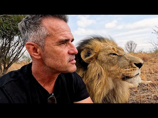 My Time is Limited with My LION FRIENDS | The Lion Whisperer