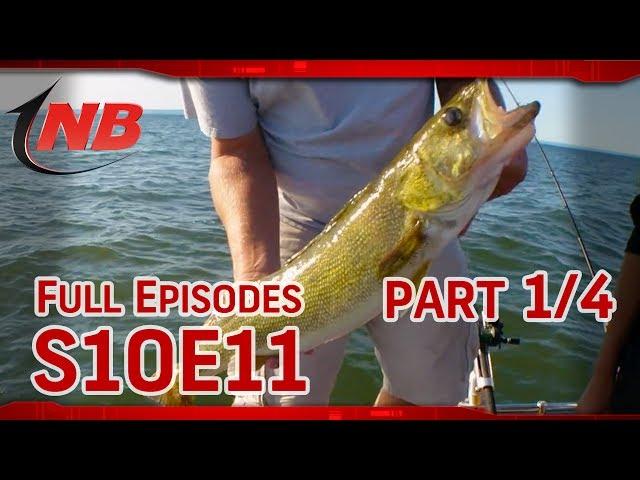 (Part 1/4) Locating Lake Superior Walleyes