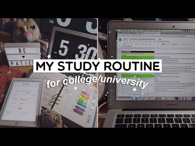 My Study Routine ️ | Active Recall