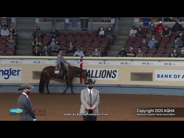 2020 AQHA Senior Western Pleasure