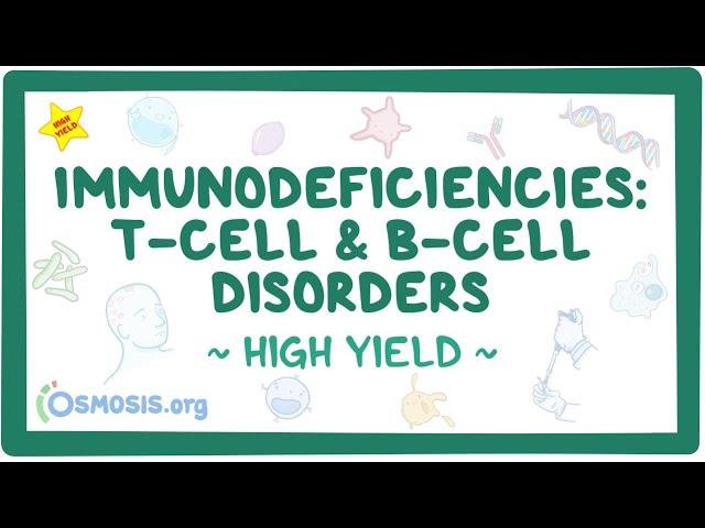 Immunodeficiencies: T-cell and B-cell disorders: Pathology review