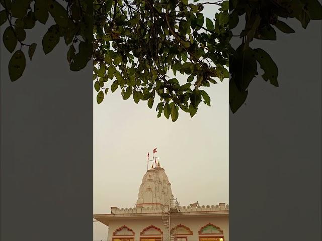 blessing #shorts #ytshorts #virar mata mandir.