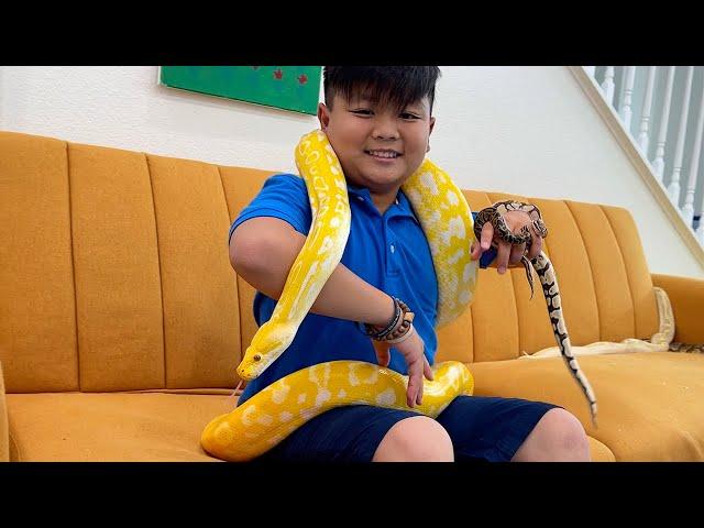 Alex and Eric Gets New Pet Animals | Learn About Wild Animal Reptiles