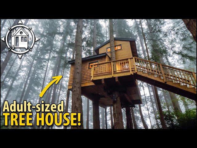 Magical TREE HOUSE w/ ocean view built by adventurous couple