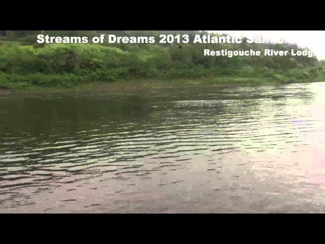 Streams of Dreams 2013 Atlantic Salmon Trip Harry Huff 18 lb Salmon Thomas and Thomas DNA Spey Rod