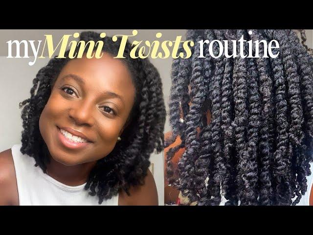 HOW I INSTALLED MINI TWISTS ON  MY TYPE 4 HAIR | NEW METHOD