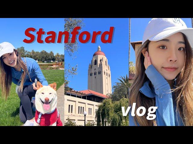 Relaxing days in SF Bay Area | 湾区VLOG