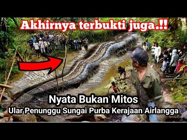 Viral!! Nyata Bukan Mitos Ular Penjaga Kerajaan Airlangga Menjadi Batu