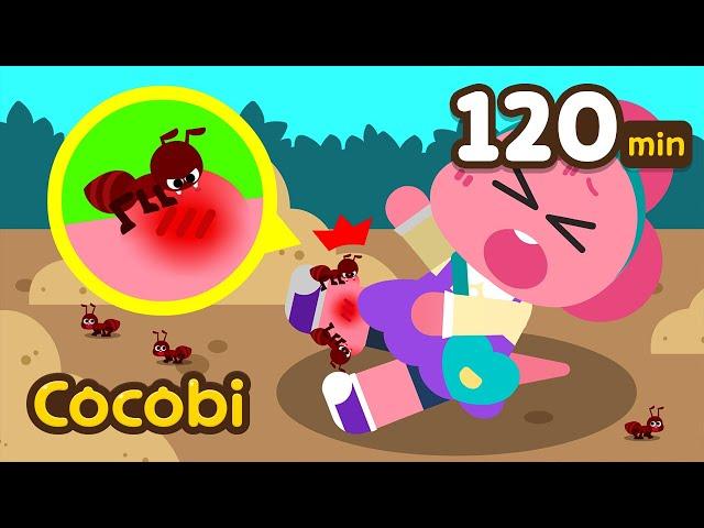 Don't Play with Ants!  + Play Safe Songs Compilation | Nursery Rhymes & Kids Songs | Cocobi