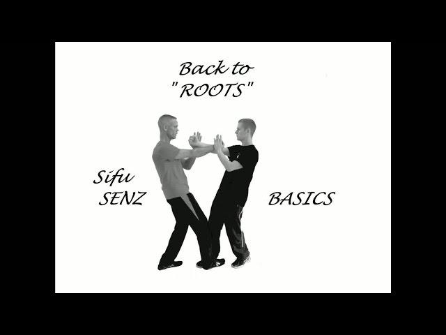 Wing Chun BASICS 1.1 b: Siu Nim Tao Satz 1. Gaan Sao gewendet