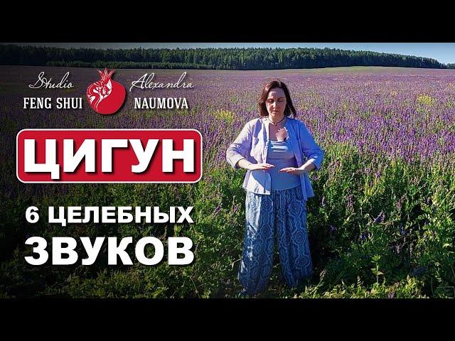 Цигун 6 Целительных Звуков все упражнения