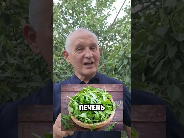 5 суперзеленей для здоровья !