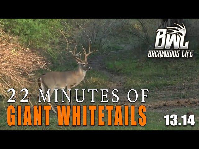 ULTIMATE Deer Hunting Compilation