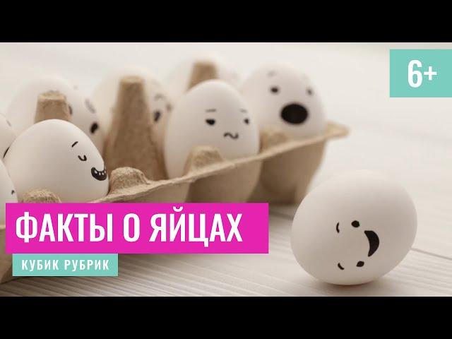 Суперлюбопытно узнать интересные факты о яйцах. Кубик Рубрик (6+)